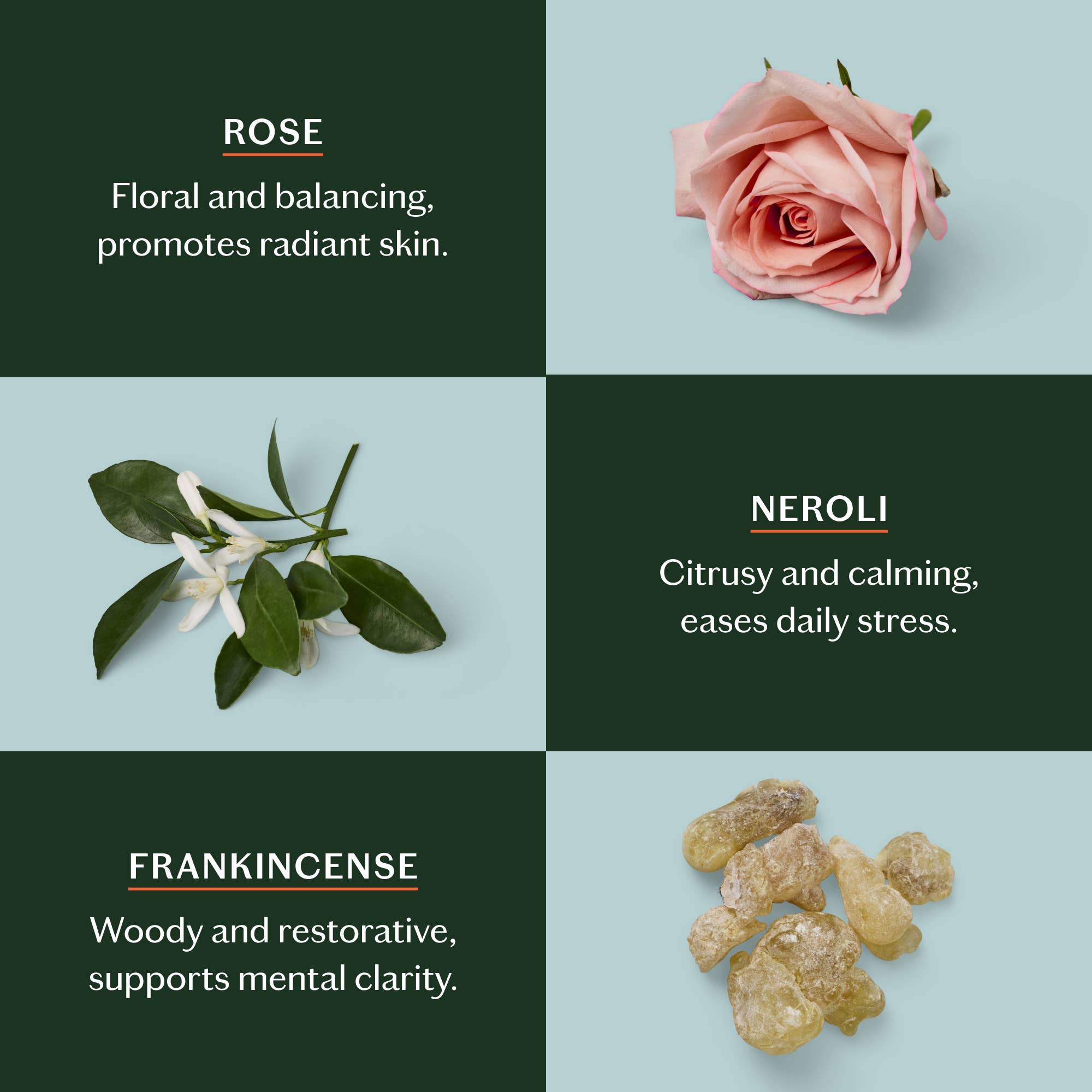 Daily Stone | Deep Moisturizing Lotion Bar Refill