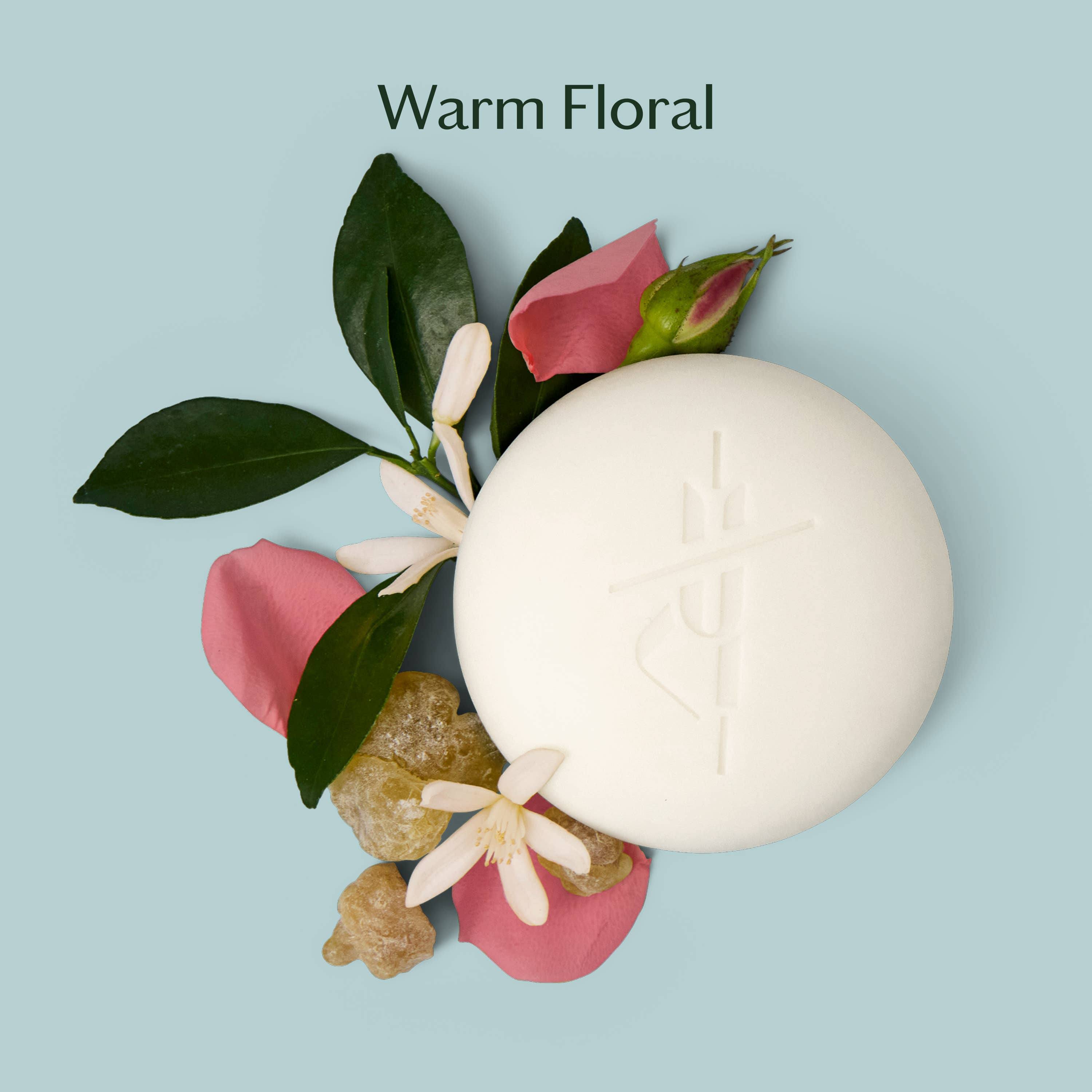 Daily Stone | Deep Moisturizing Lotion Bar Refill