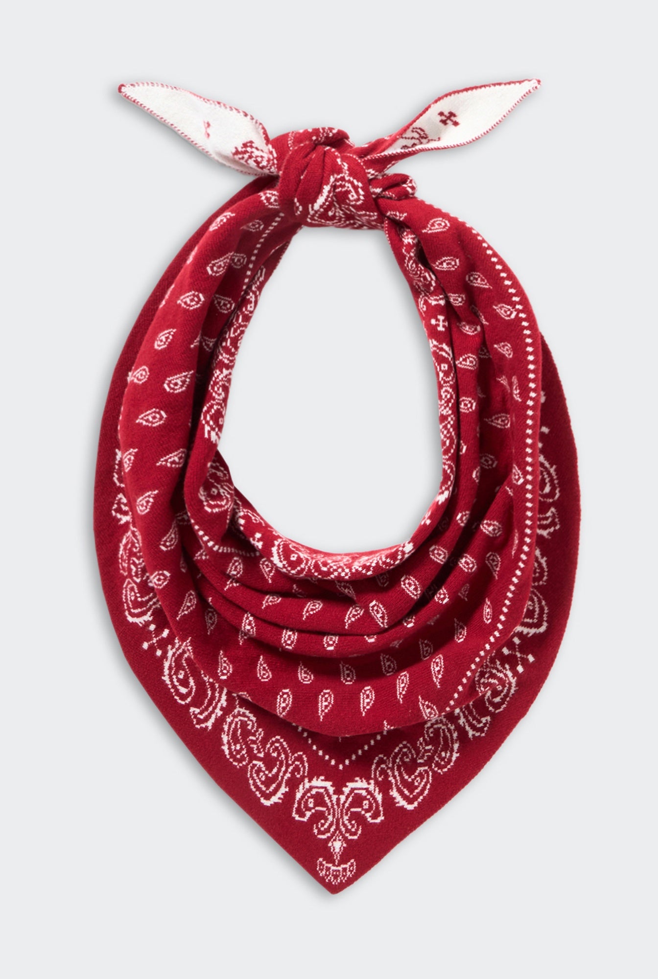 Guest in Residence Wild Rag Scarf