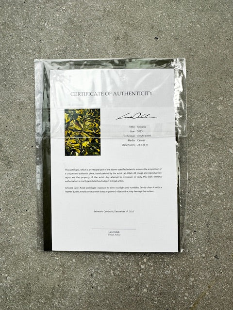 Certificate of Authenticity on a textured surface