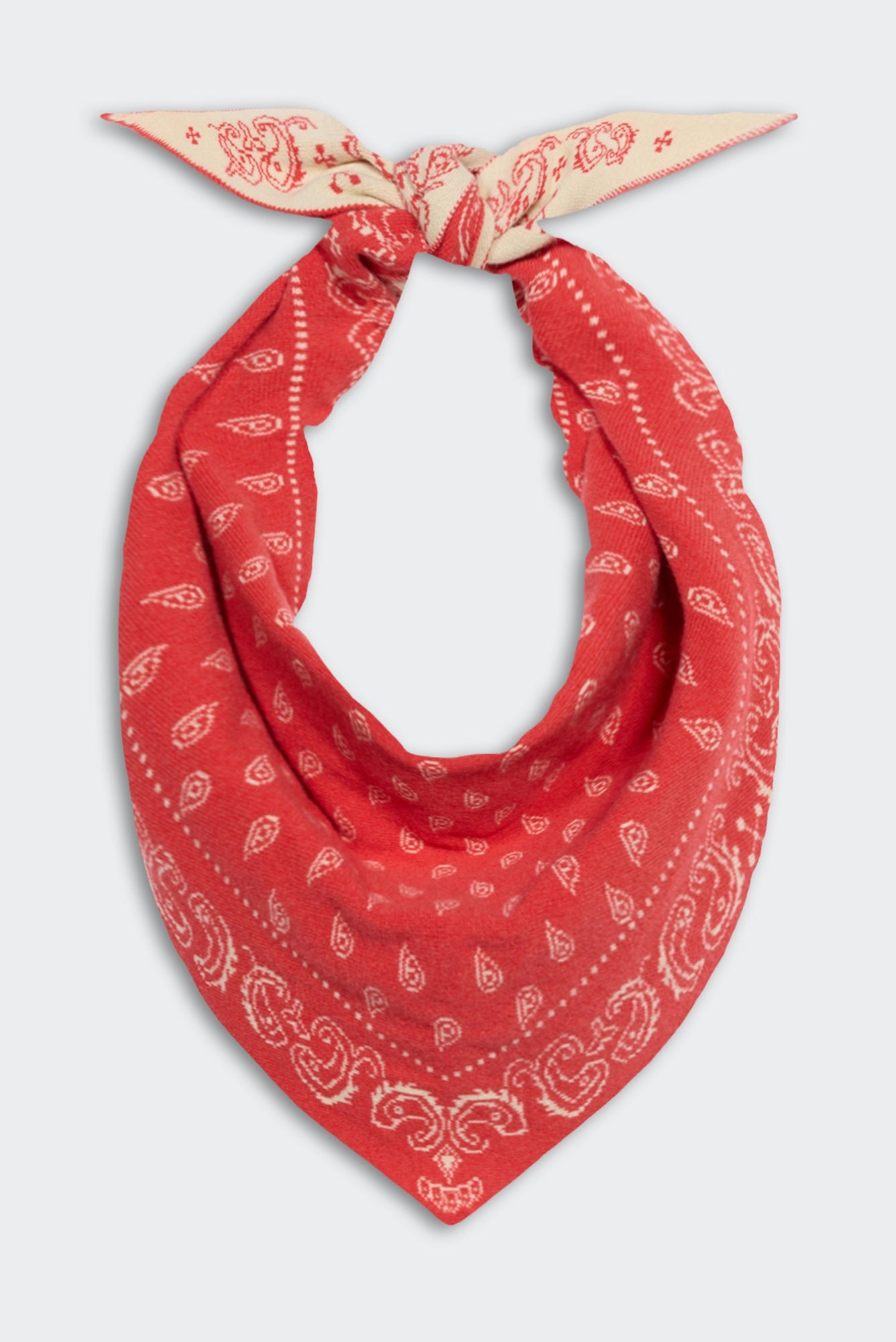 Guest in Residence Wild Rag Scarf