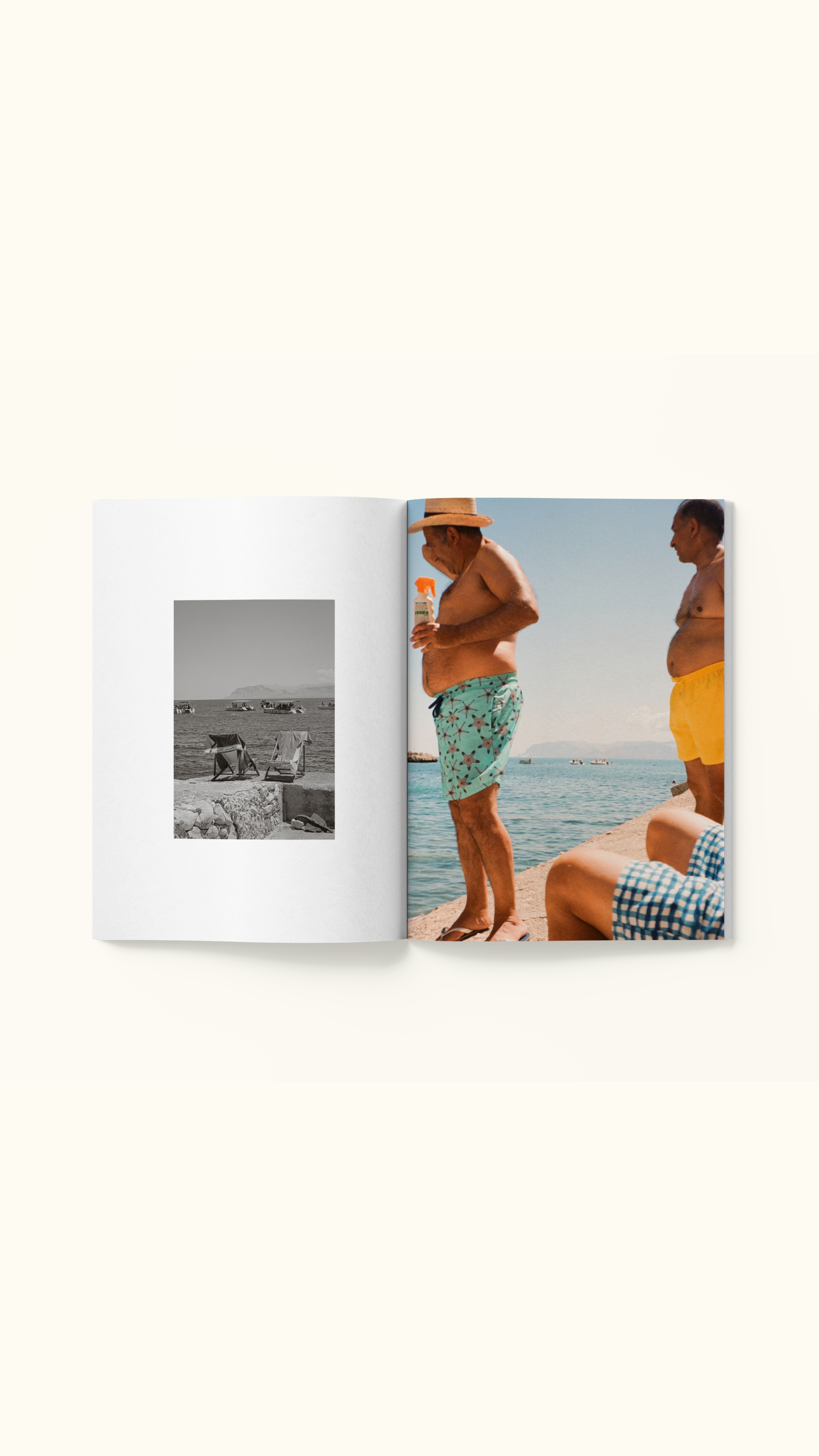 Small Pleasures - Coffee Table Book