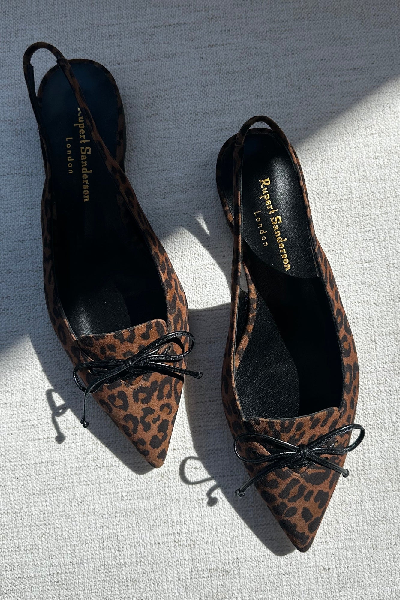 Pair of leopard print shoes with black bows on a textured surface