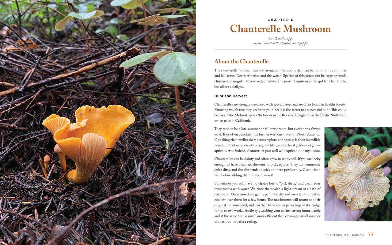 interior shot of the wild mushrooms cookbook