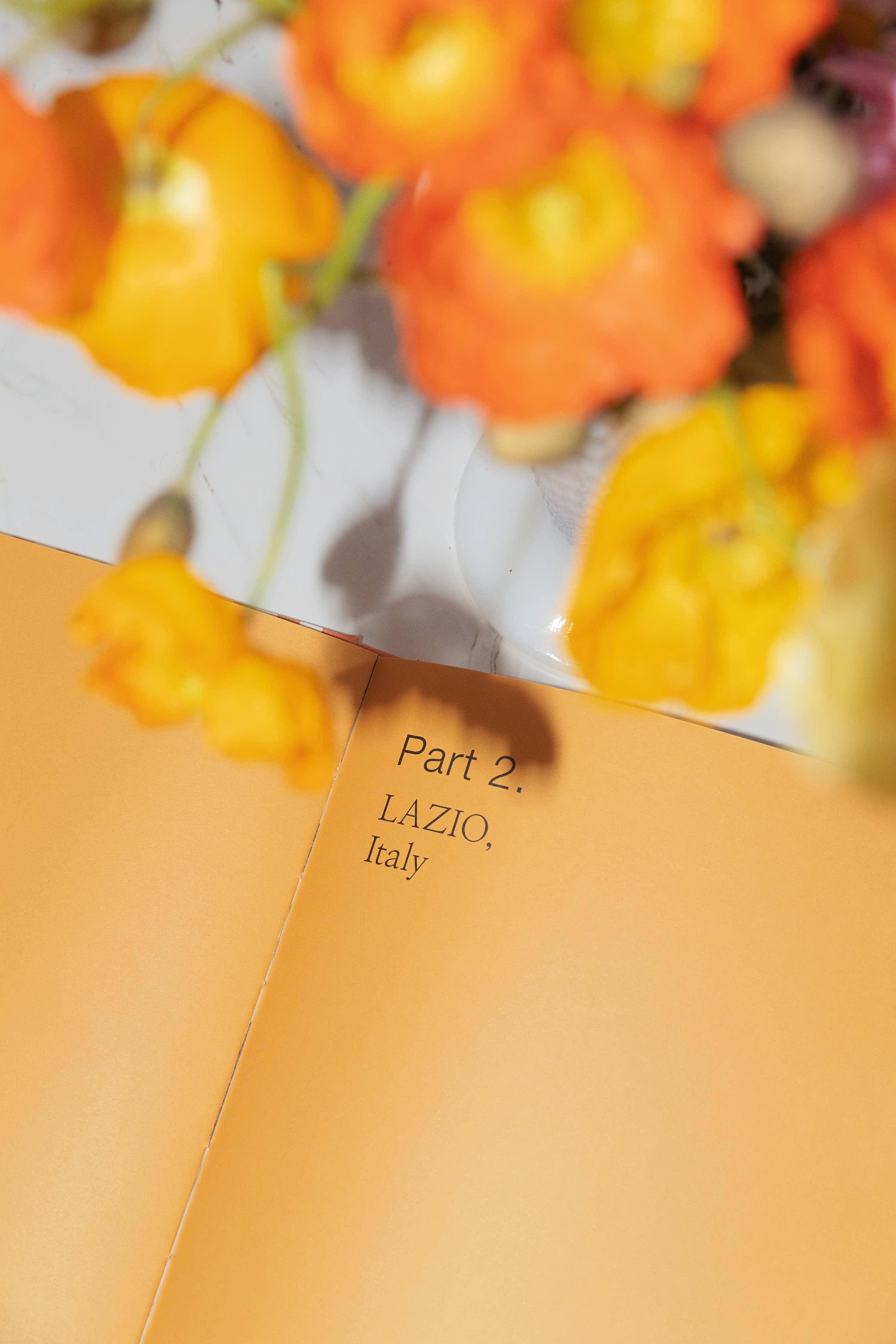Small Pleasures - Coffee Table Book