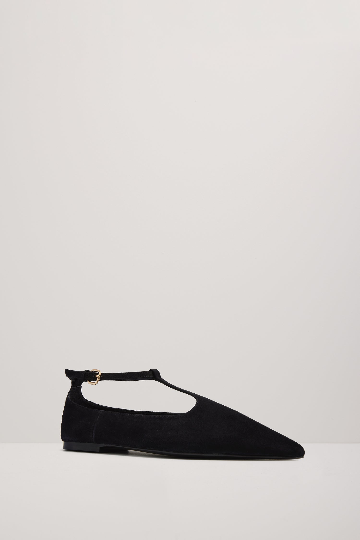 Black pointed-toe flat shoe on a light gray background