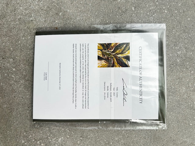 Certificate of Authenticity in clear plastic packaging on a textured surface