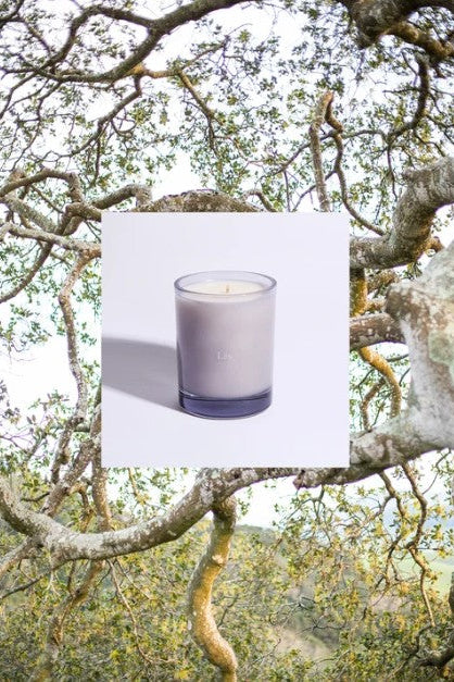 Liis Candle Reyes
