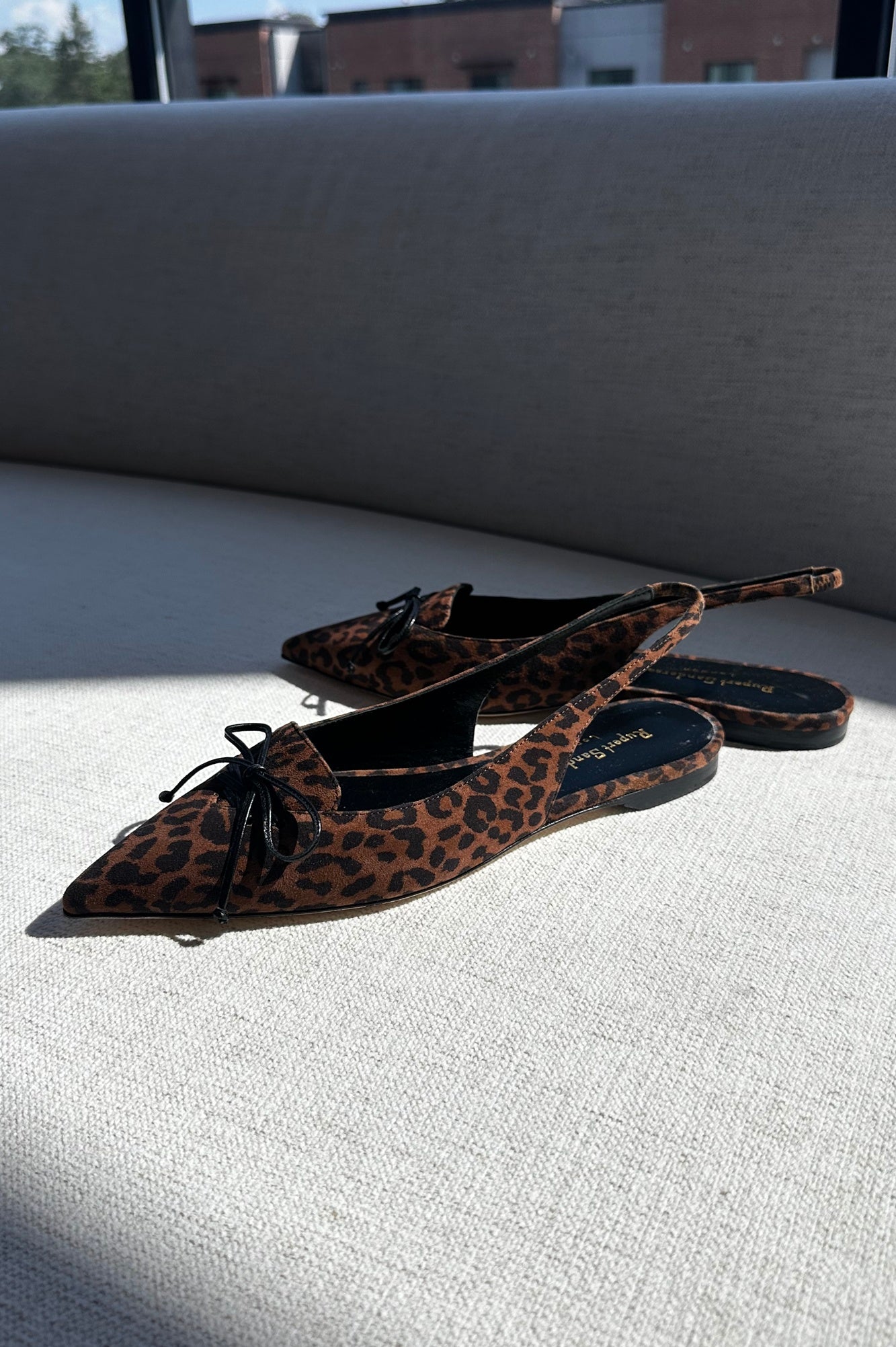 Leopard print shoes on a light gray surface with a blurred outdoor background