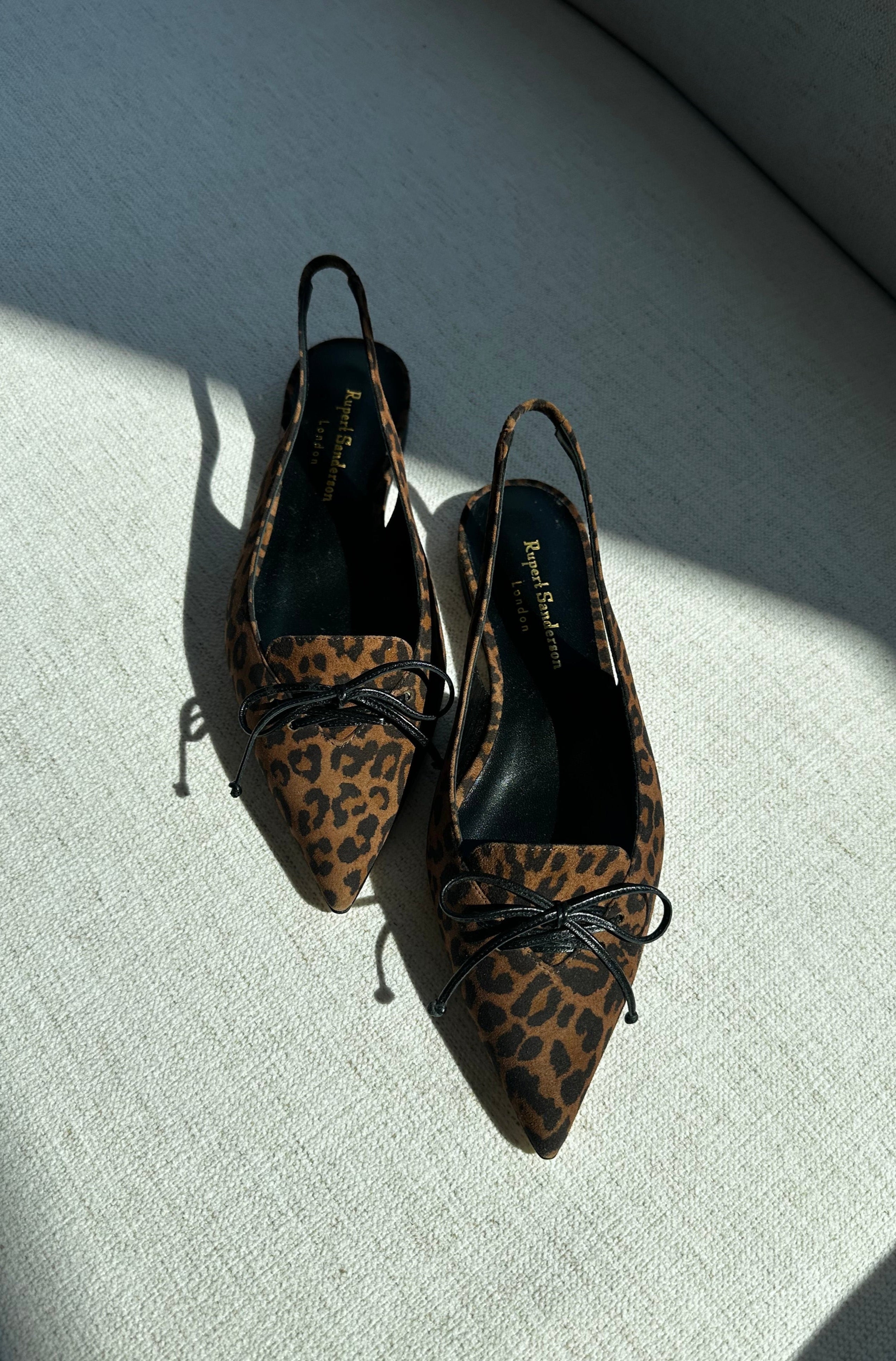 Pair of leopard print high heels on a textured surface